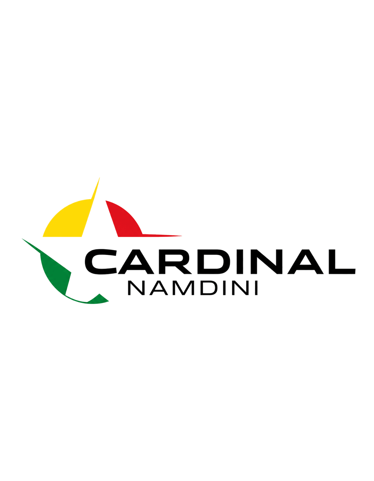 Cardinal Namdini Mining